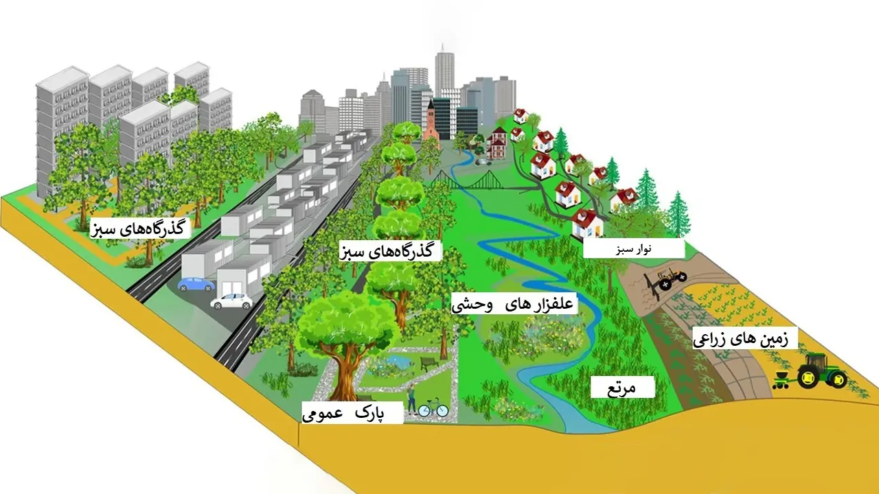 نمایی از شهر سبز