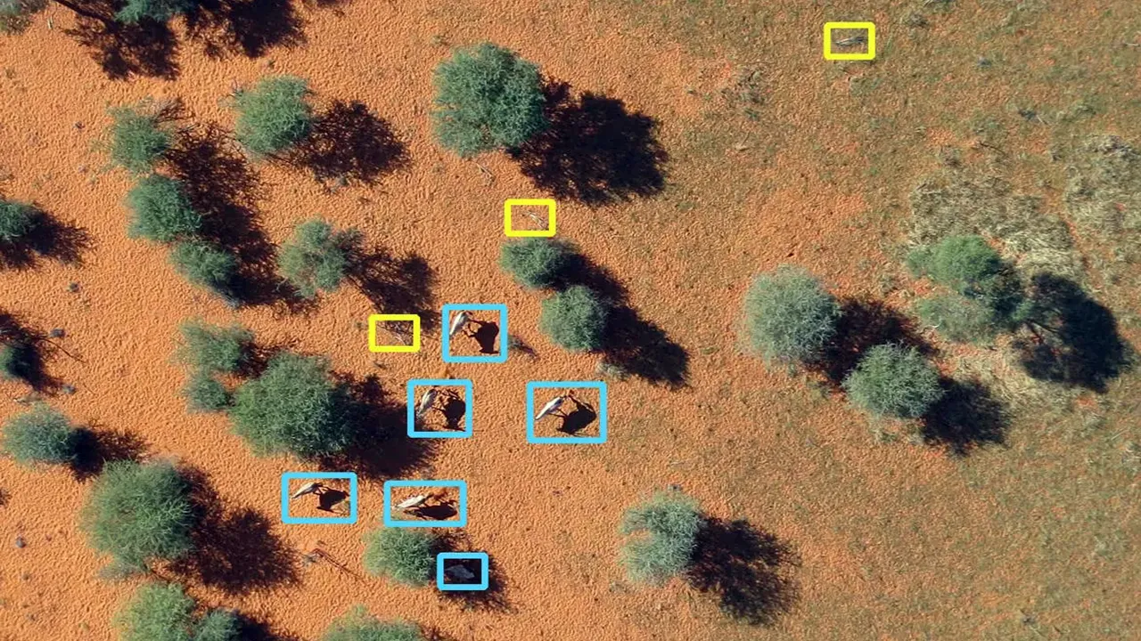 حفاظت از اراضی با پهپاد ها