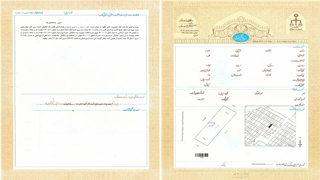 پشت و رو سند تک برگ