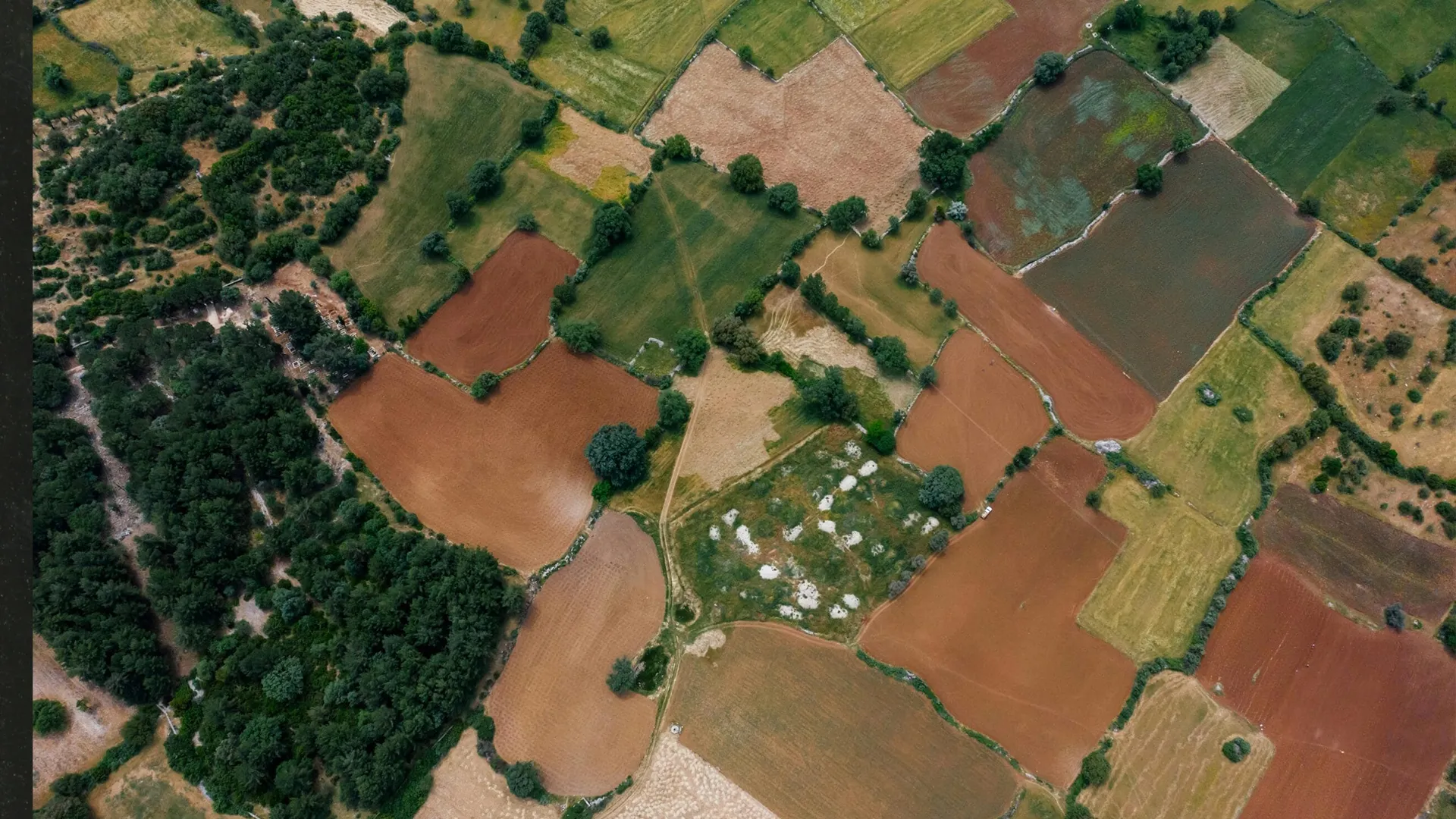 از انقلاب سفید تا امروز؛ داستان پرچالش اصلاحات ارضی در ایران