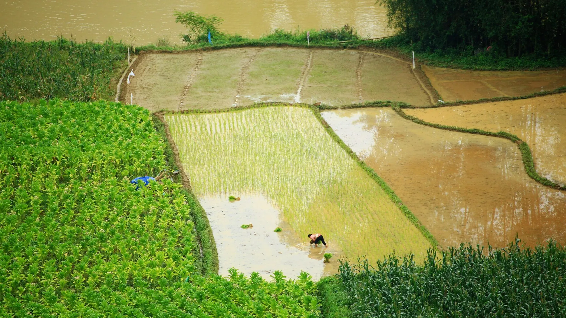 اصلاحات ارضی در ایران
