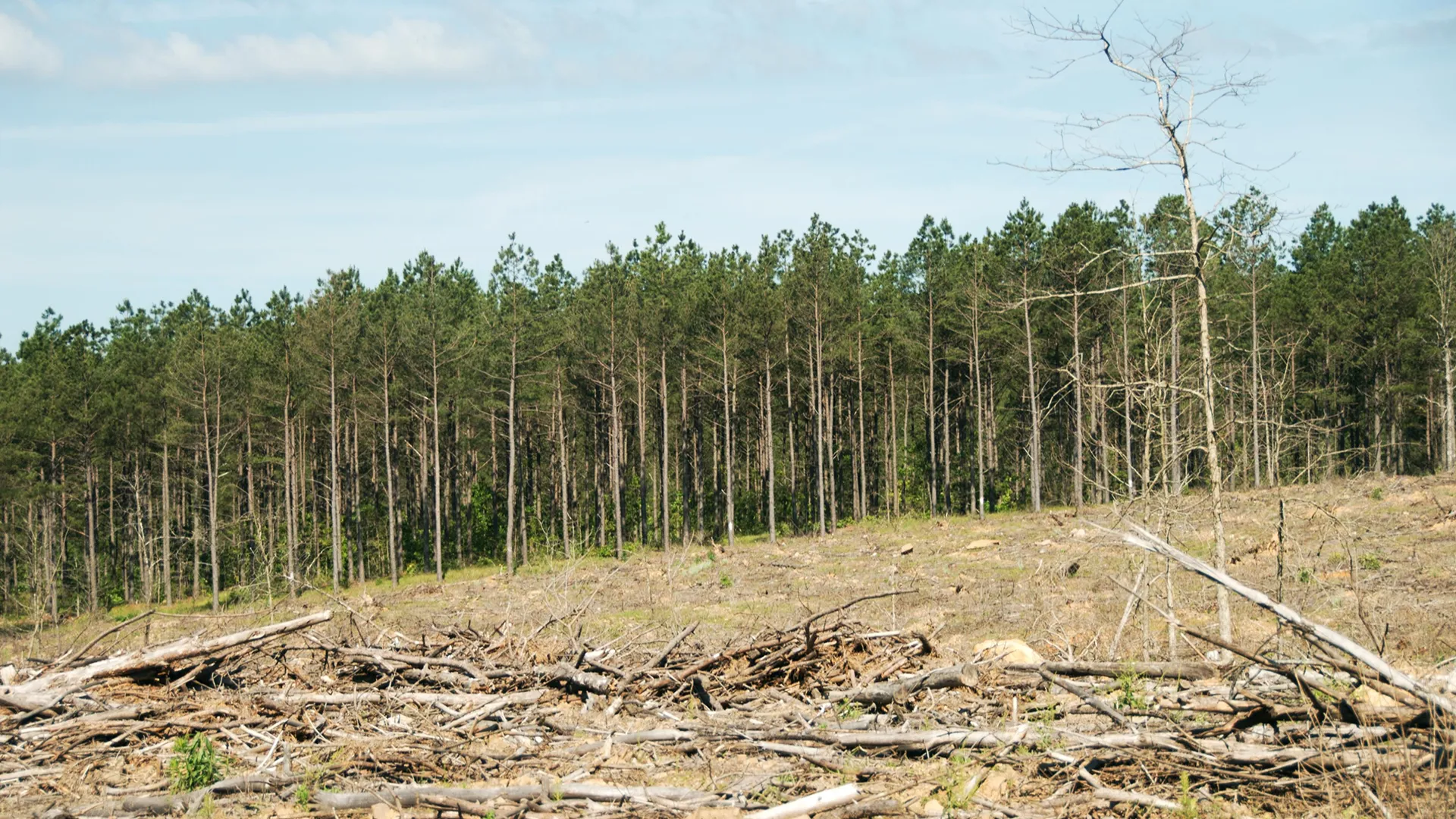 تغییر کاربری