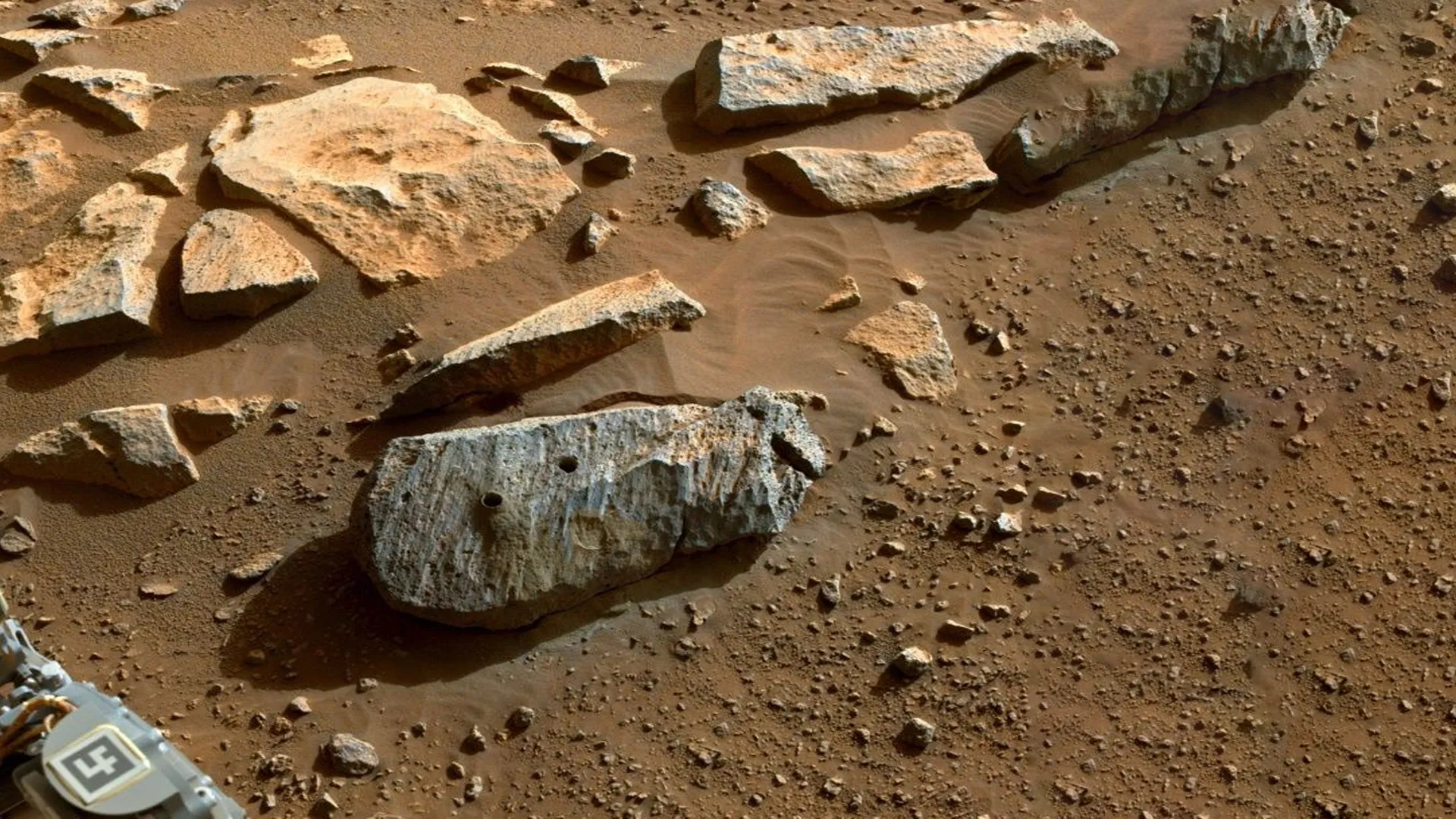 نمونه جمع آوری شده توسط Perseverance متعلق به سنگی به نام rochette