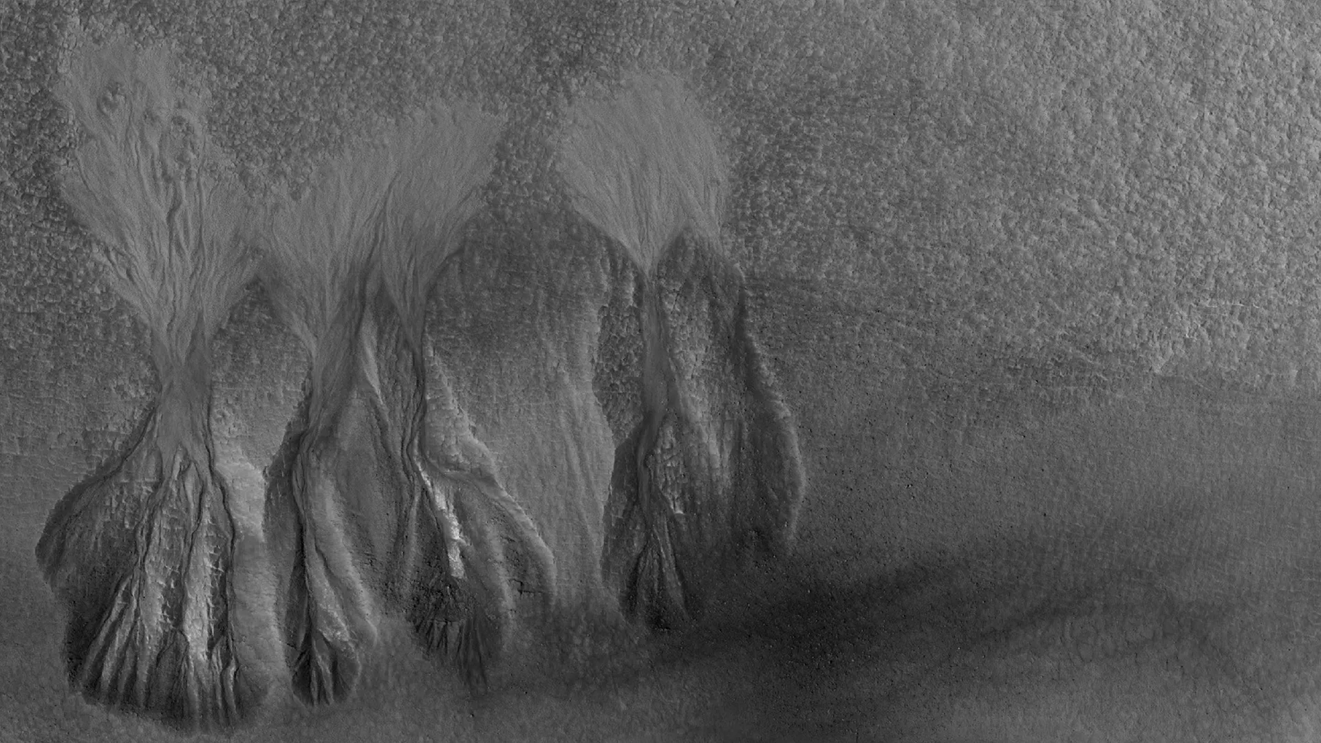 منطقه Arcadia Planitia