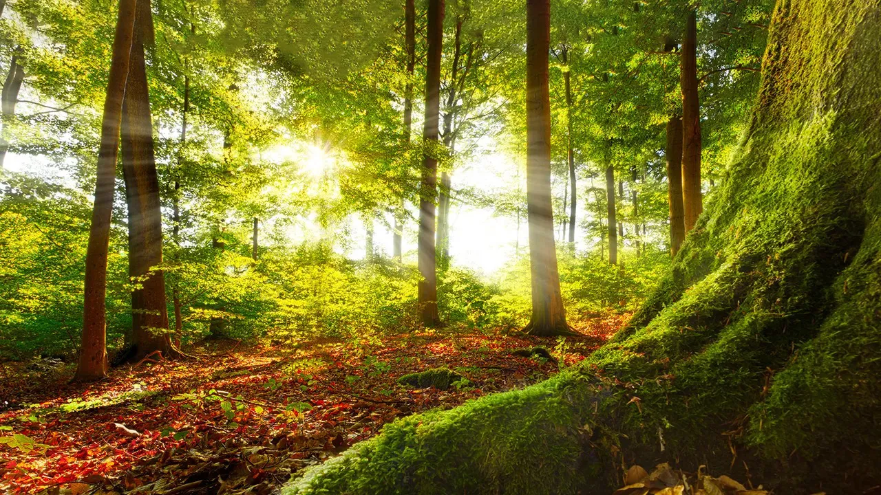 اراضی ملی و مستثنیات