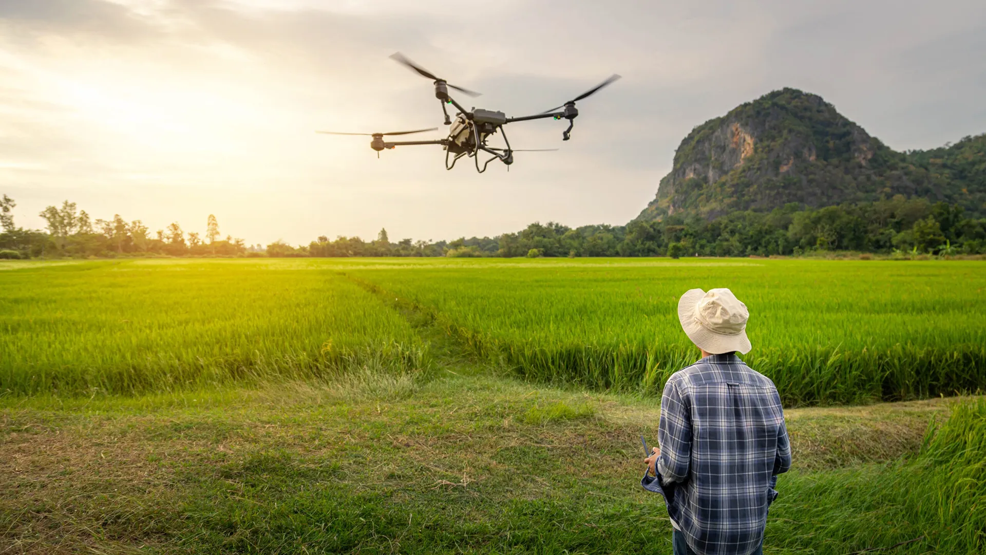 مهندسی کشاورزی: راهنمای جامع تحصیل، بازار کار و درآمد