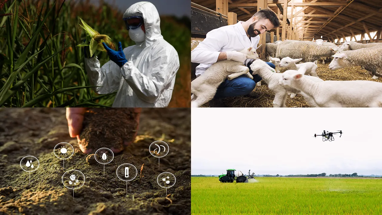 تصویری از گرایش های مختلف مهندسی کشاورزی