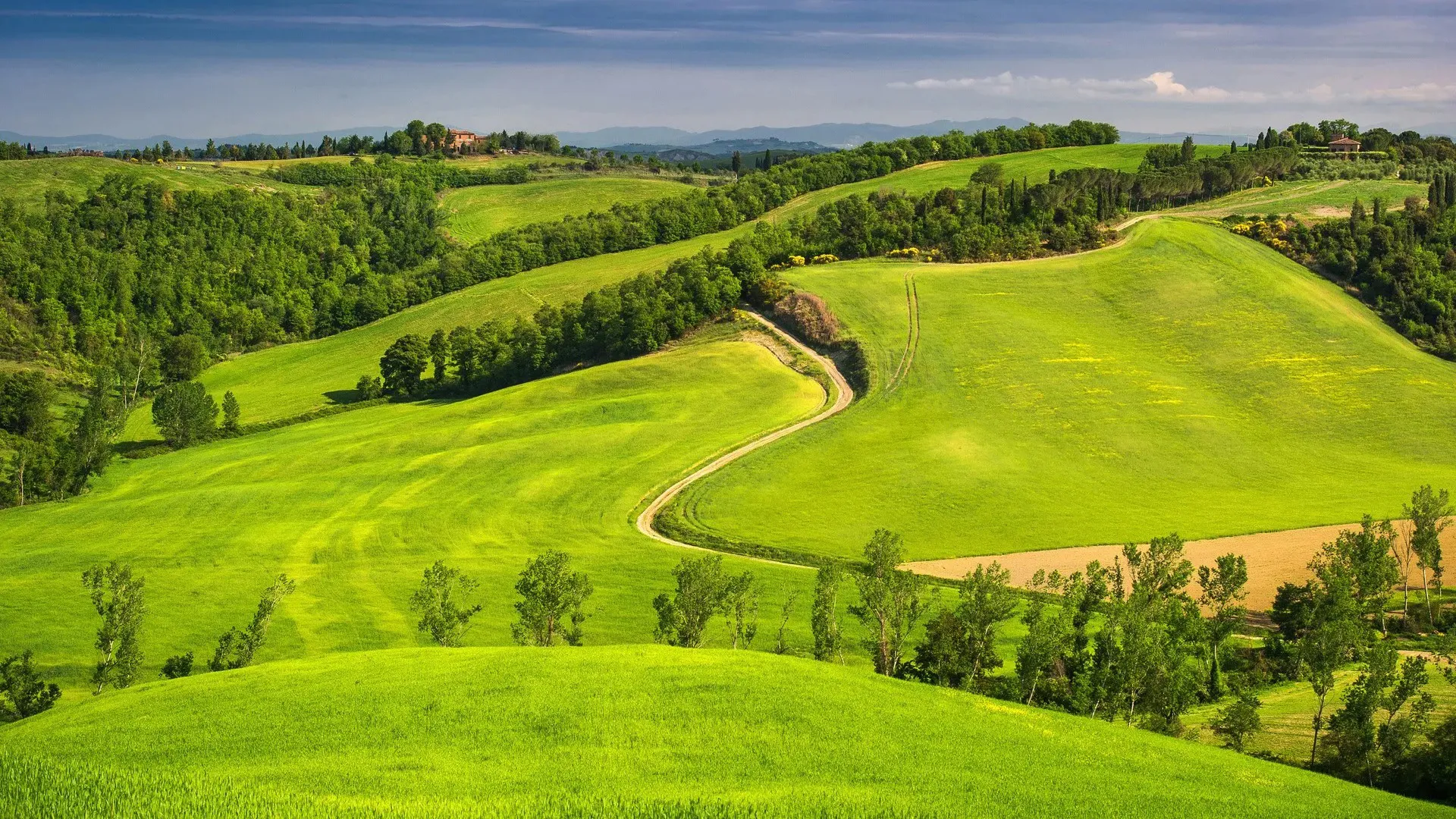 نمایی از اراضی ملی