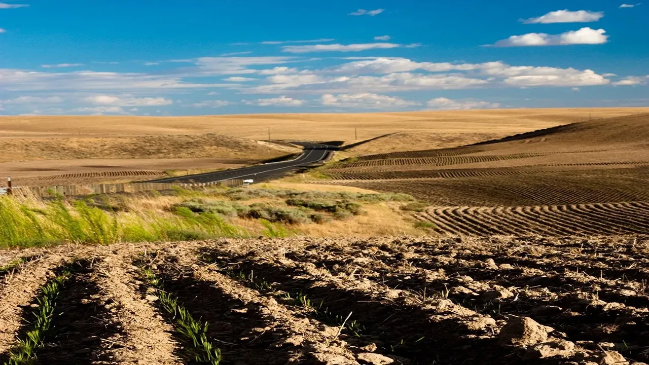 اراضی مستثنیات