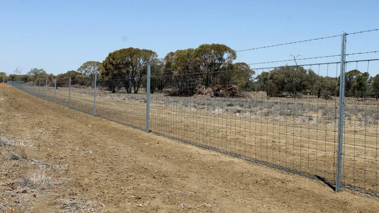 زمینی دیوانی