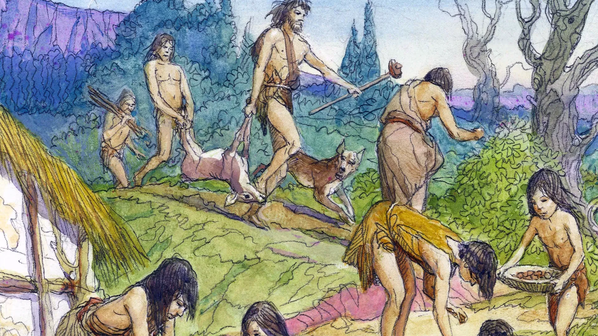 زندگی شکارچیان و شکار