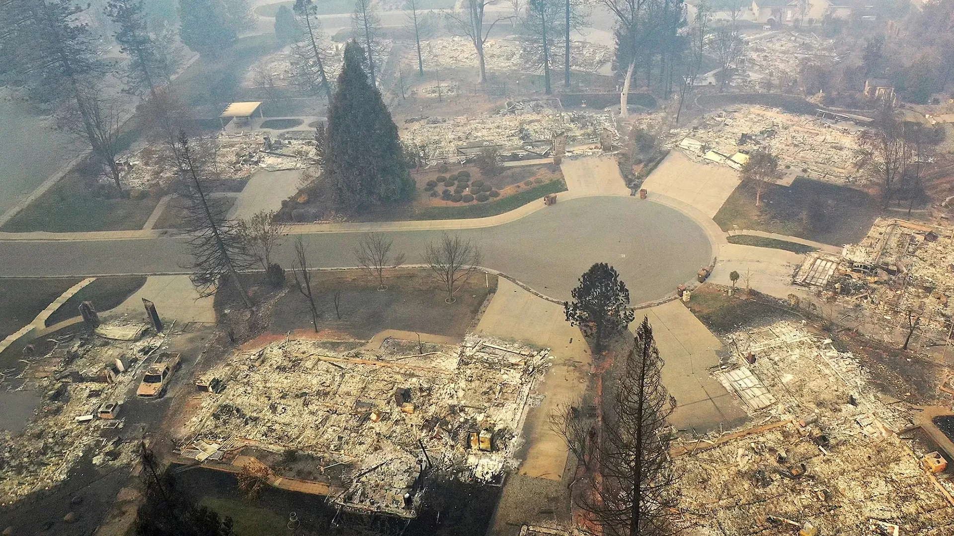 پارادایس کالیفرنیا