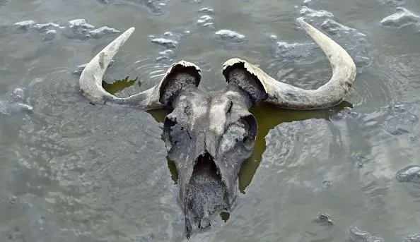 دریاچه ناترون (Lake Natron)
